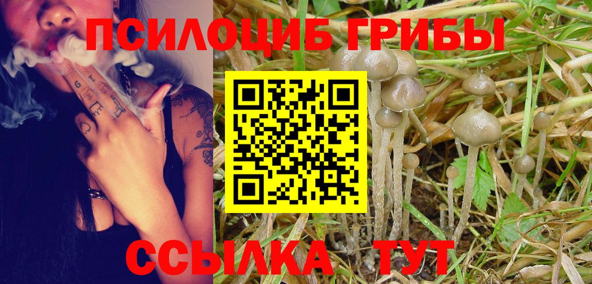 Псилоцибиновые грибы MAGIC MUSHROOMS Саяногорск